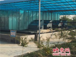 網(wǎng)絡媒體視角下的牧原集團 養(yǎng)豬硬實力筑牢食品安全防線